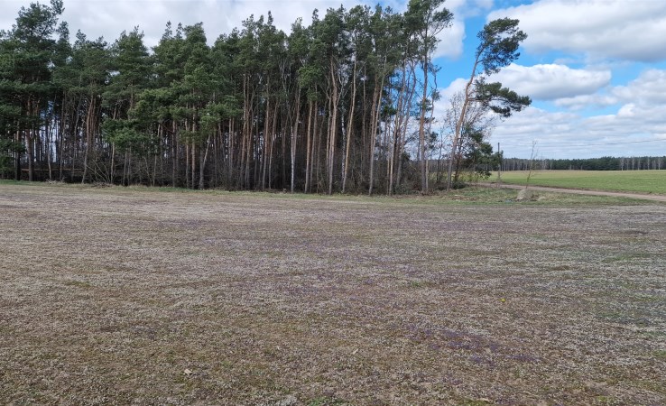 działka na sprzedaż - Szubin (gw), Rynarzewo